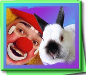 clown birthday rabbit